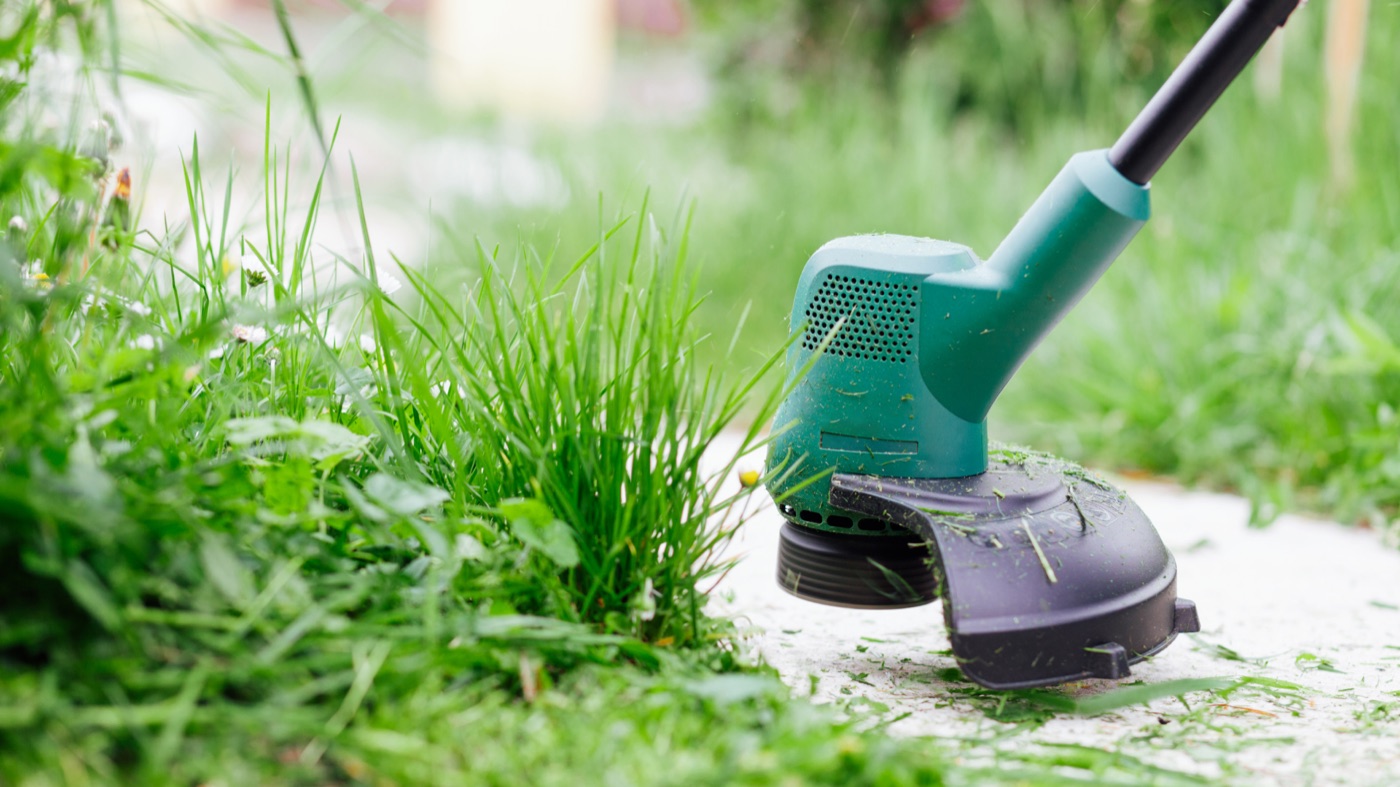 Tending the garden